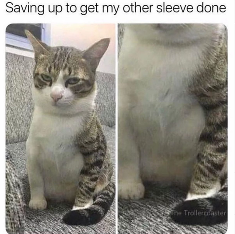Saving up to get my other sleeve done The Trollercoaster