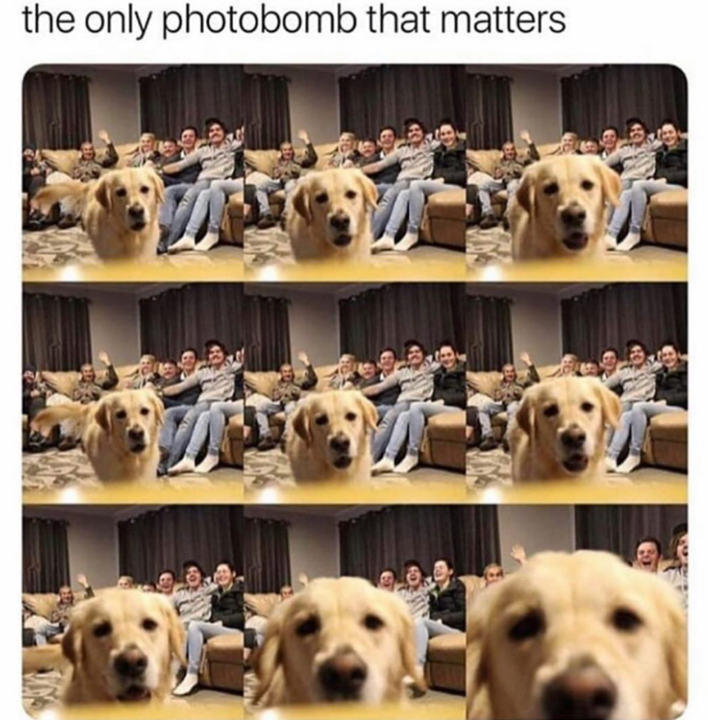 the only photobomb that matters