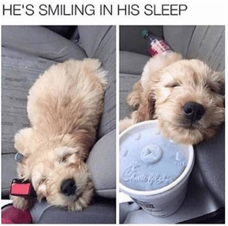 HE'S SMILING IN HIS SLEEP PITT