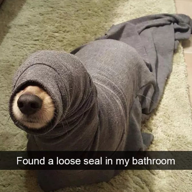 Found a loose seal in my bathroom