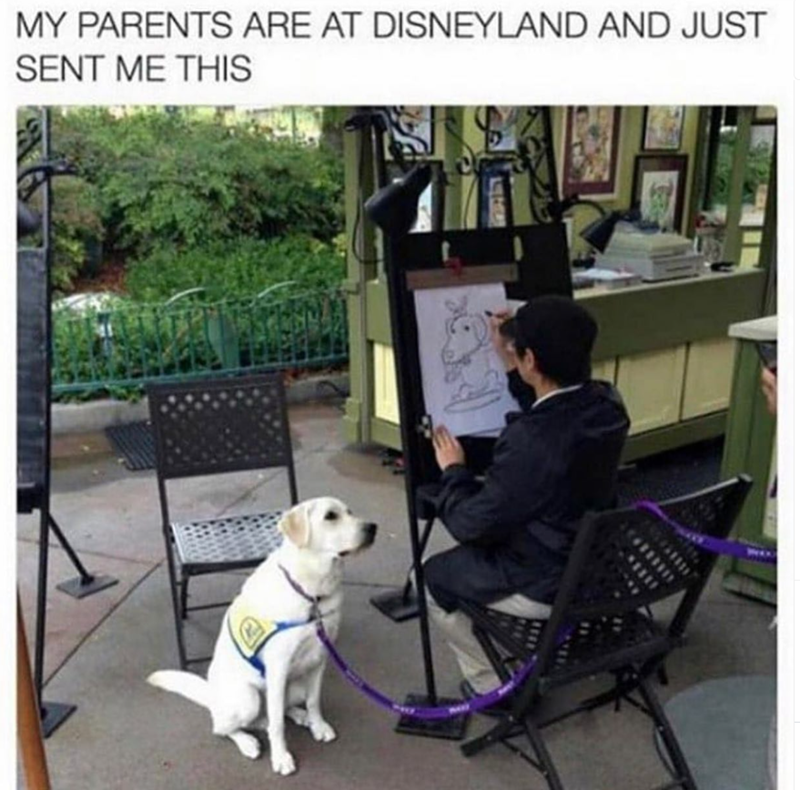 111 MY PARENTS ARE AT DISNEYLAND AND JUST SENT ME THIS