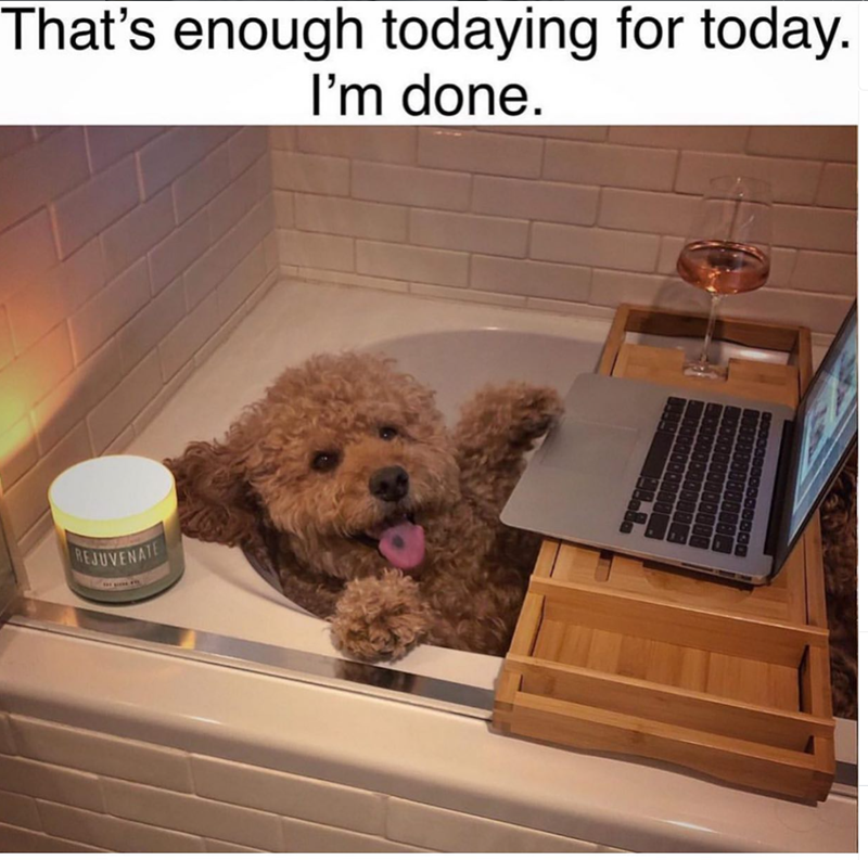 That's enough todaying for today. I'm done. REJUVENATE