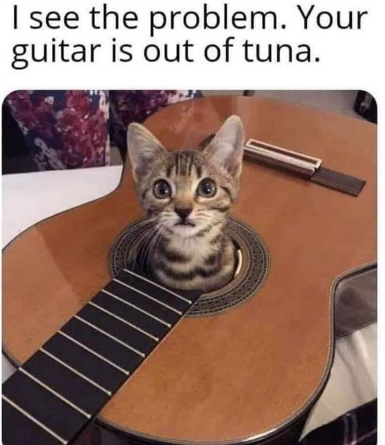 I see the problem. Your guitar is out of tuna.