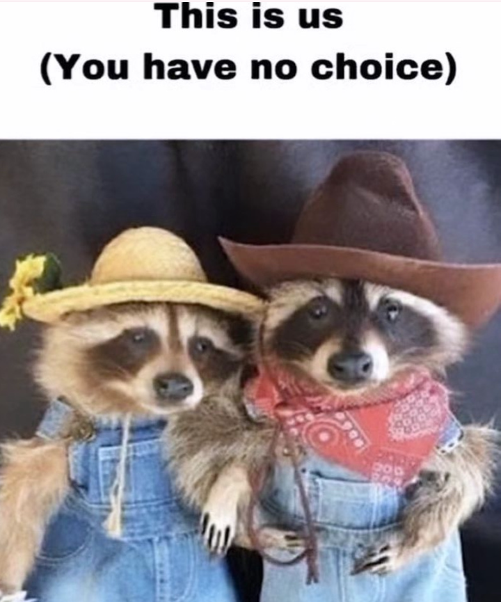 This is us (You have no choice)