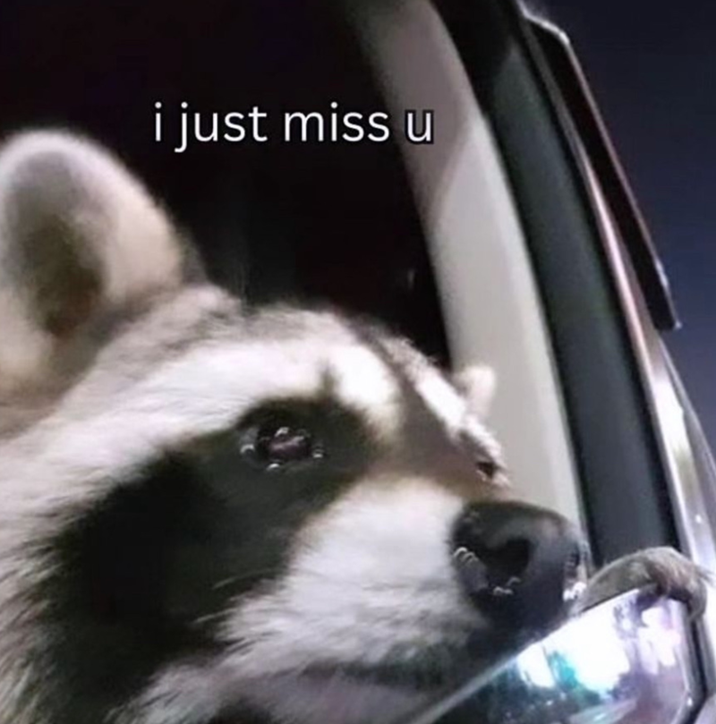 i just miss u