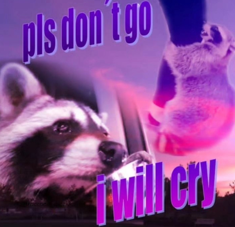 pls don't go FLOODS Twill cry
