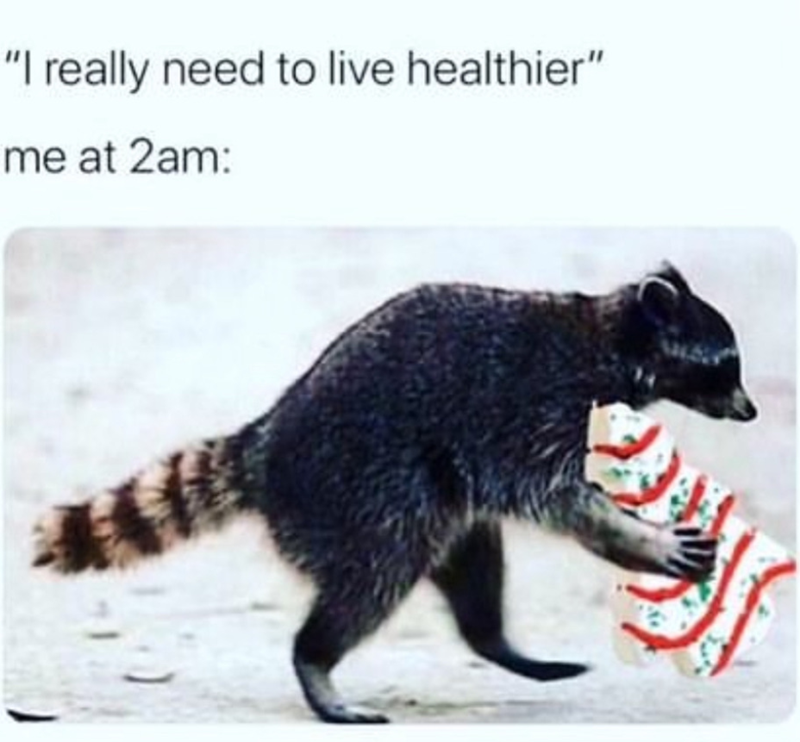 "I really need to live healthier" me at 2am: