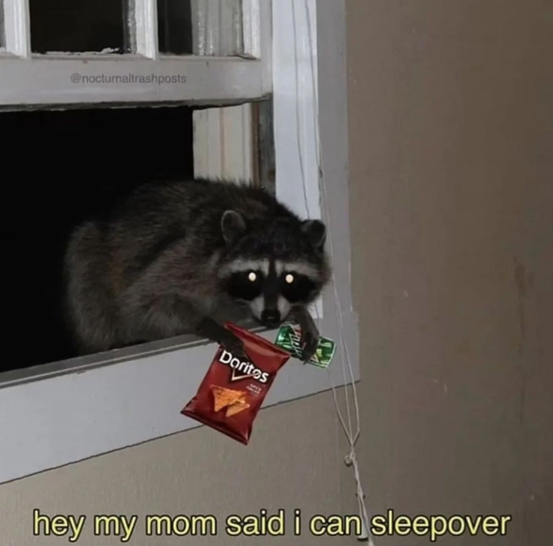 @nocturnaltrashposts Doritos hey my mom said i can sleepover