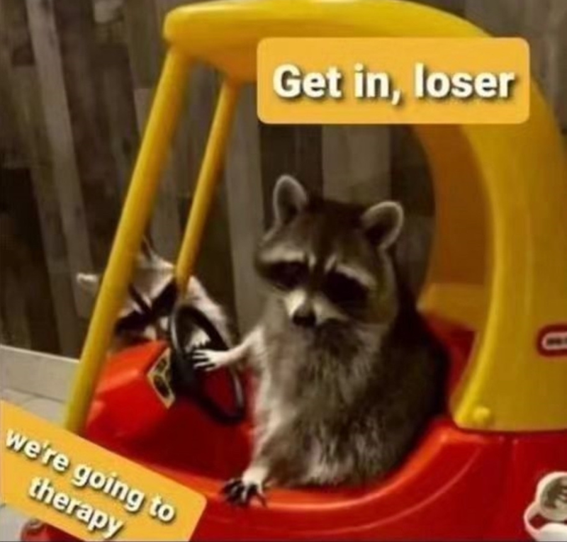 we're going to therapy Get in, loser