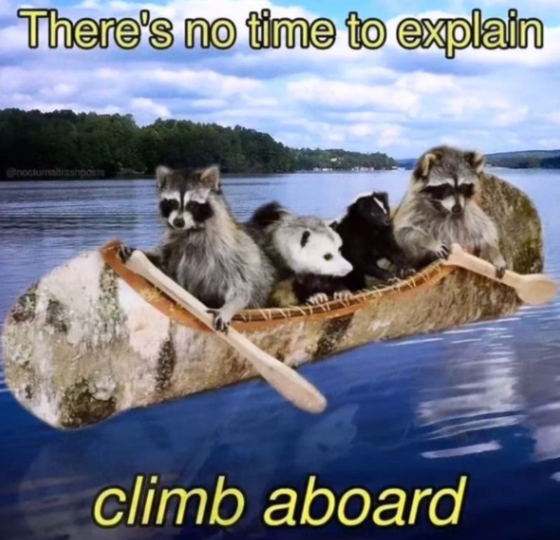 There's no time to explain @nocturnaltrashposts climb aboard
