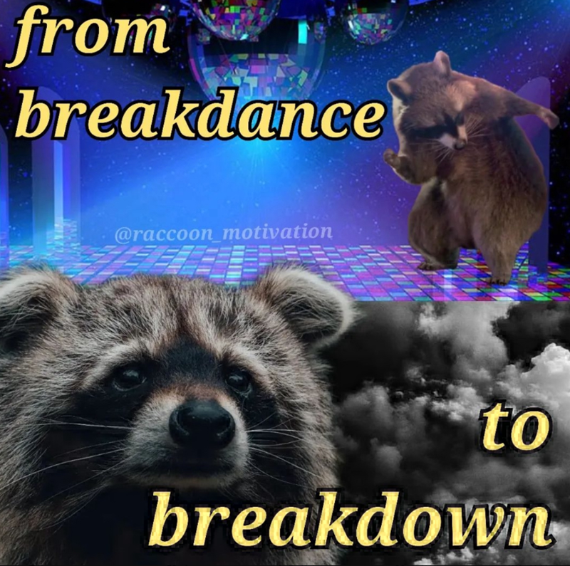 from breakdance @raccoon motivation to breakdown