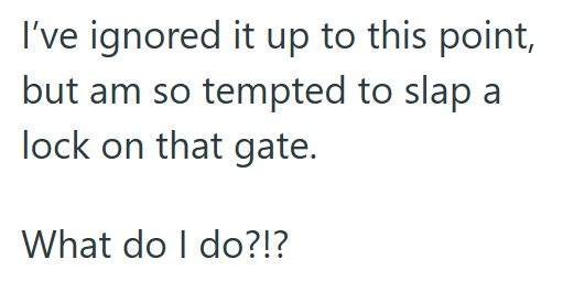 I've ignored it up to this point, but am so tempted to slap a lock on that gate. What do I do?!?