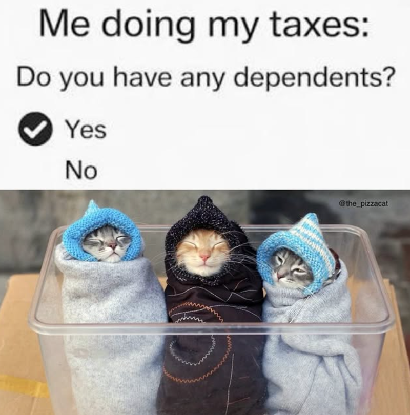 Me doing my taxes: Do you have any dependents? Yes No @the_pizzacat