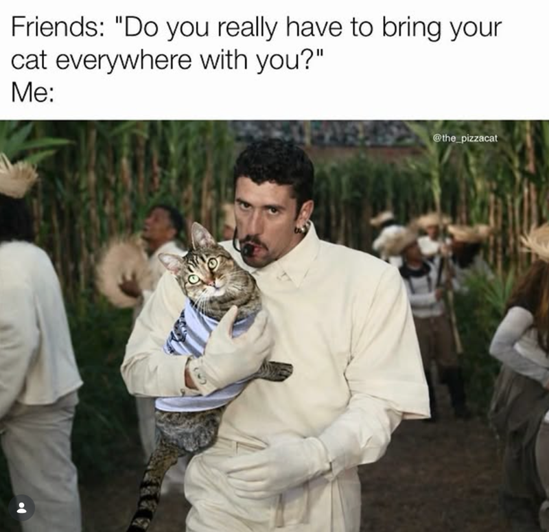 Friends: "Do you really have to bring your cat everywhere with you?" Me: @the_pizzacat