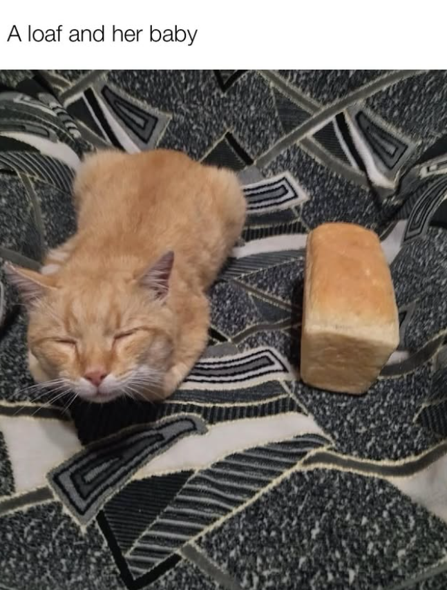 A loaf and her baby