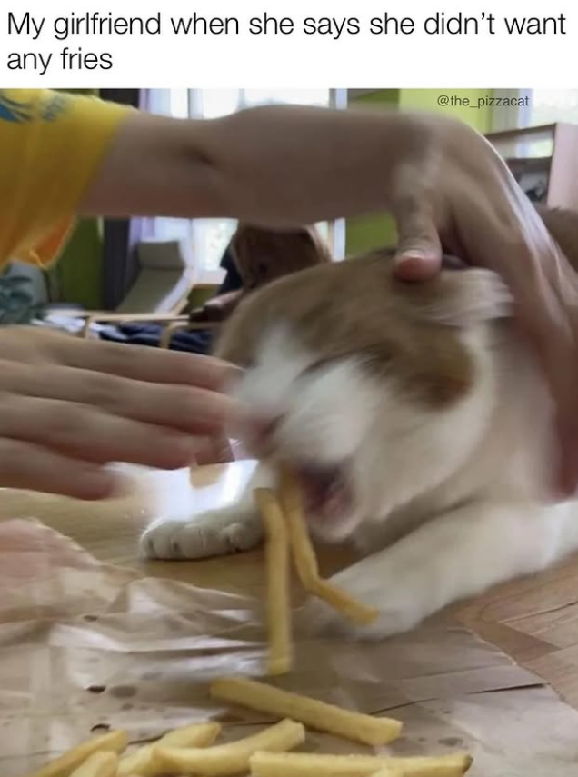 My girlfriend when she says she didn't want any fries V @the_pizzacat