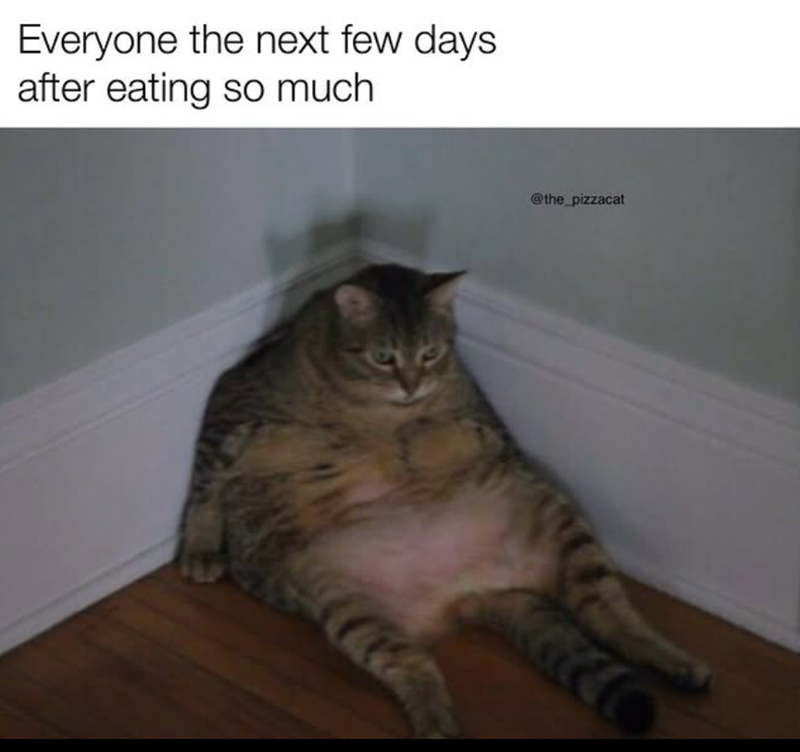 Everyone the next few days after eating so much @the_pizzacat
