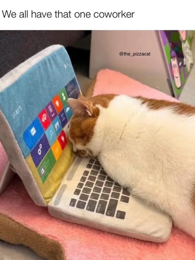 We all have that one coworker start 00 @the_pizzacat