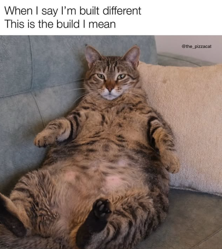 When I say I'm built different This is the build I mean @the_pizzacat