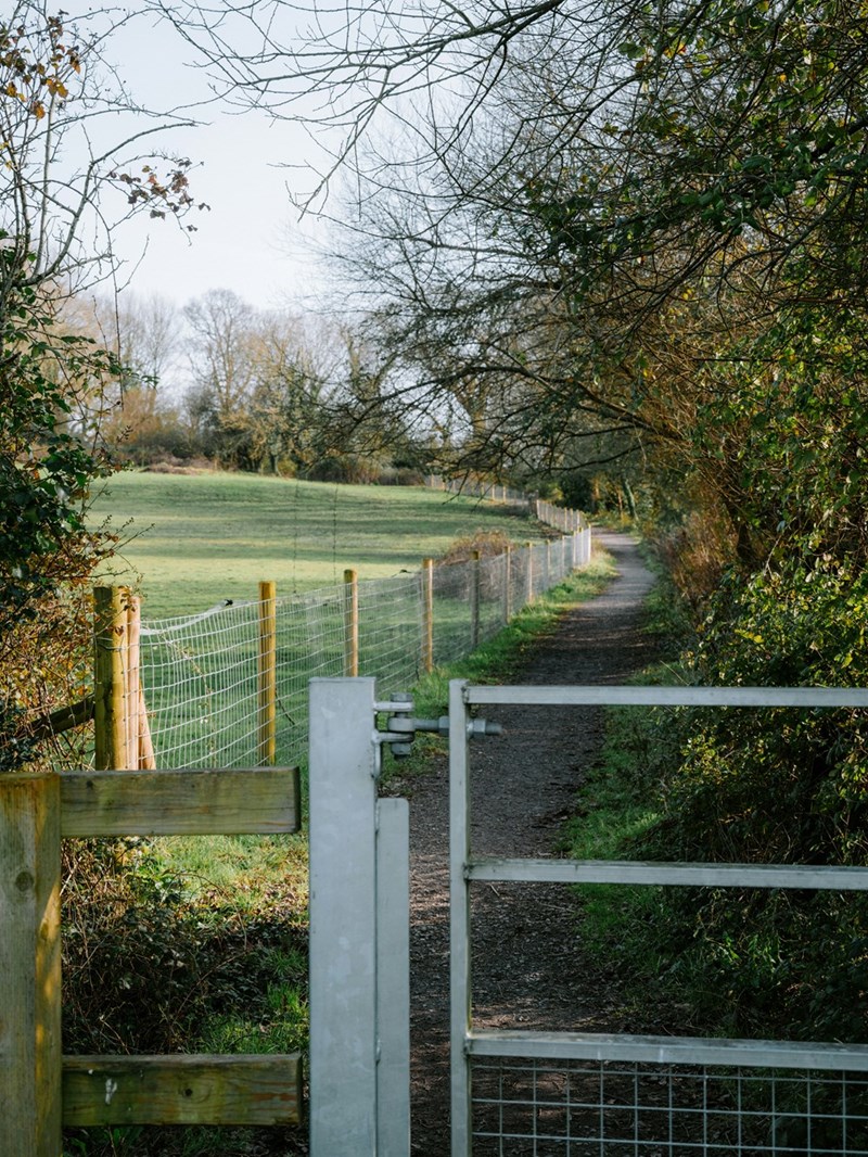 A path leading through a fenced field