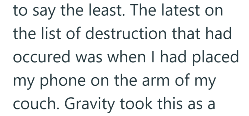 to say the least. The latest on the list of destruction that had occured was when I had placed my phone on the arm of my couch. Gravity took this as a