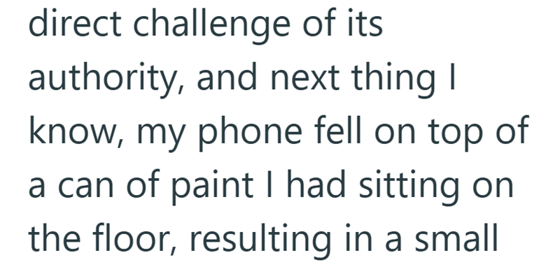 direct challenge of its authority, and next thing I know, my phone fell on top of a can of paint I had sitting on the floor, resulting in a small