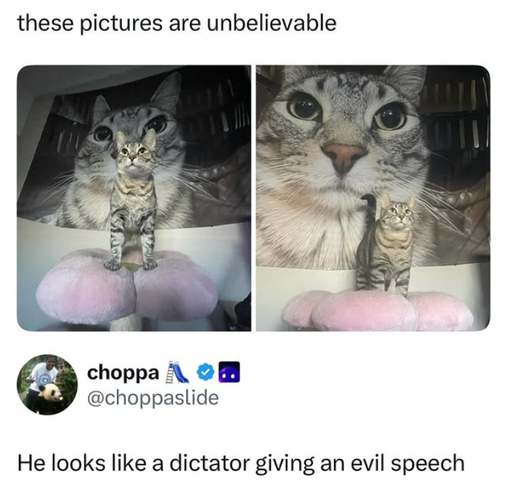 these pictures are unbelievable choppa @choppaslide He looks like a dictator giving an evil speech