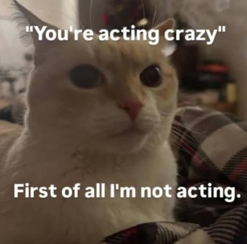 "You're acting crazy" First of all I'm not acting.