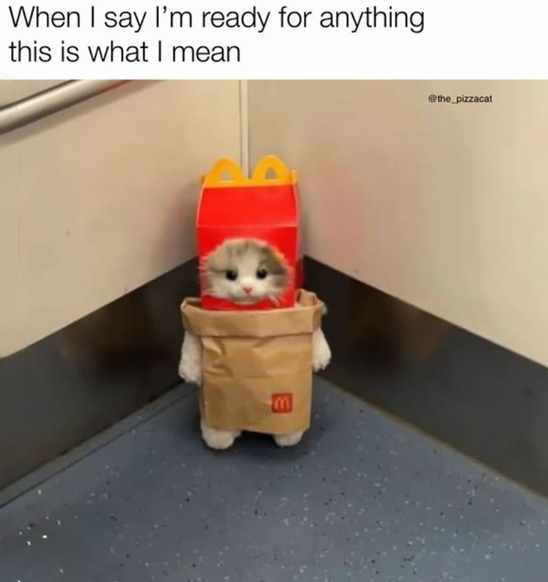When I say I'm ready for anything this is what I mean @the_pizzacat E