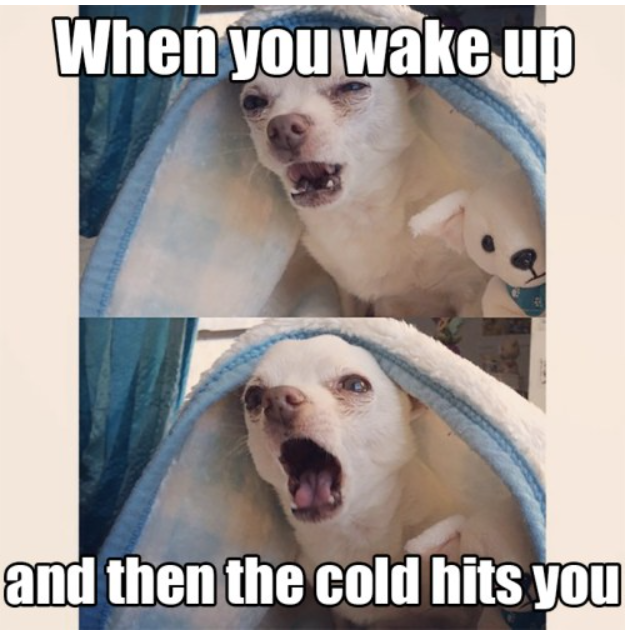 When you wake up and then the cold hits you