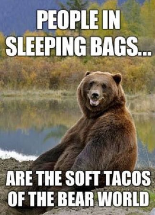 PEOPLE IN SLEEPING BAGS... ARE THE SOFT TACOS OF THE BEAR WORLD