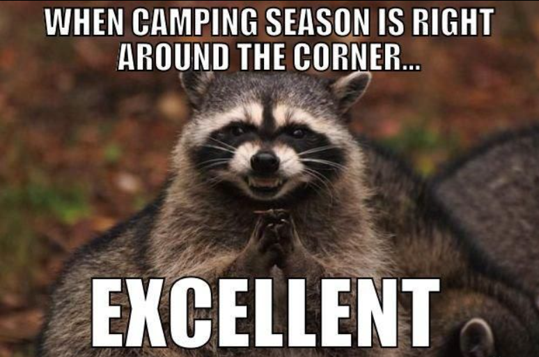 WHEN CAMPING SEASON IS RIGHT AROUND THE CORNER... EXCELLENT