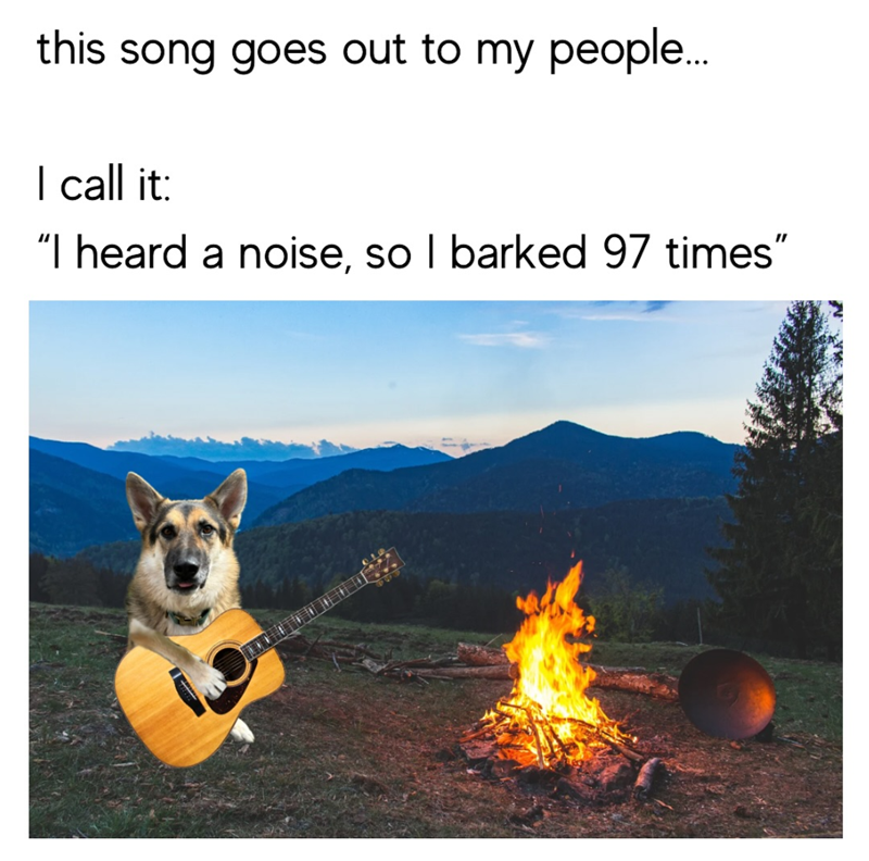 this song goes out to my people... I call it: "I heard a noise, so I barked 97 times"