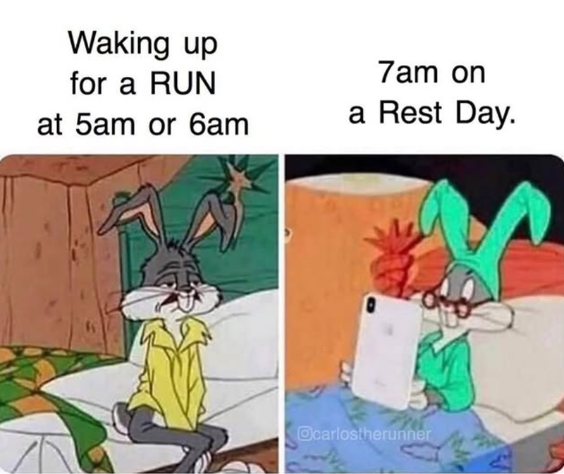 Waking up for a RUN at 5am or 6am 7am on a Rest Day. Ocarlostherunner