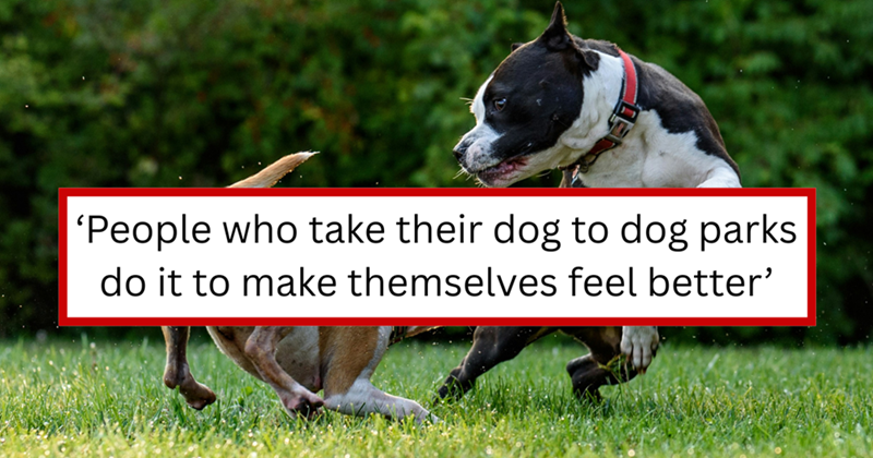 'People who take their dog to dog parks do it to make themselves feel better'