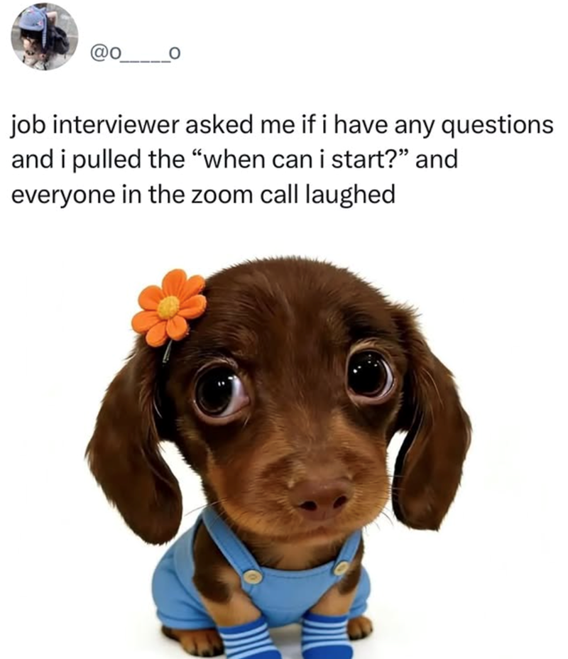job interviewer asked me if i have any questions and i pulled the "when can i start?" and everyone in the zoom call laughed