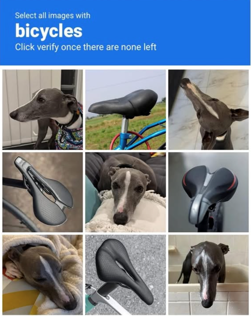 Select all images with bicycles Click verify once there are none left
