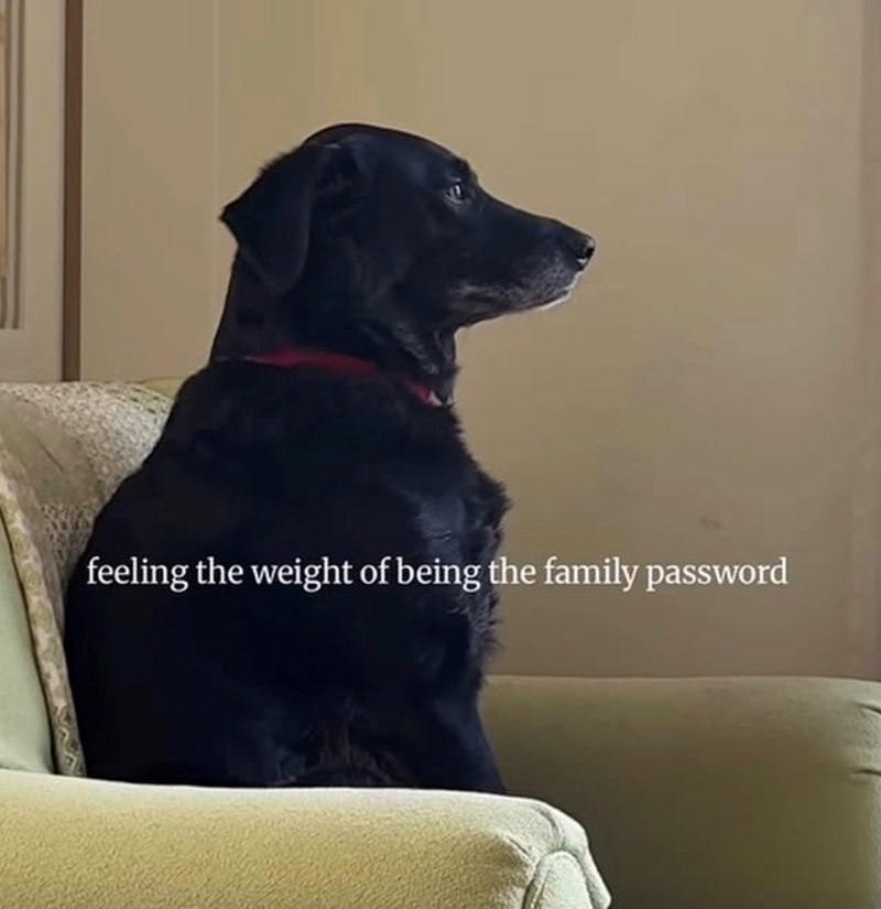 feeling the weight of being the family password