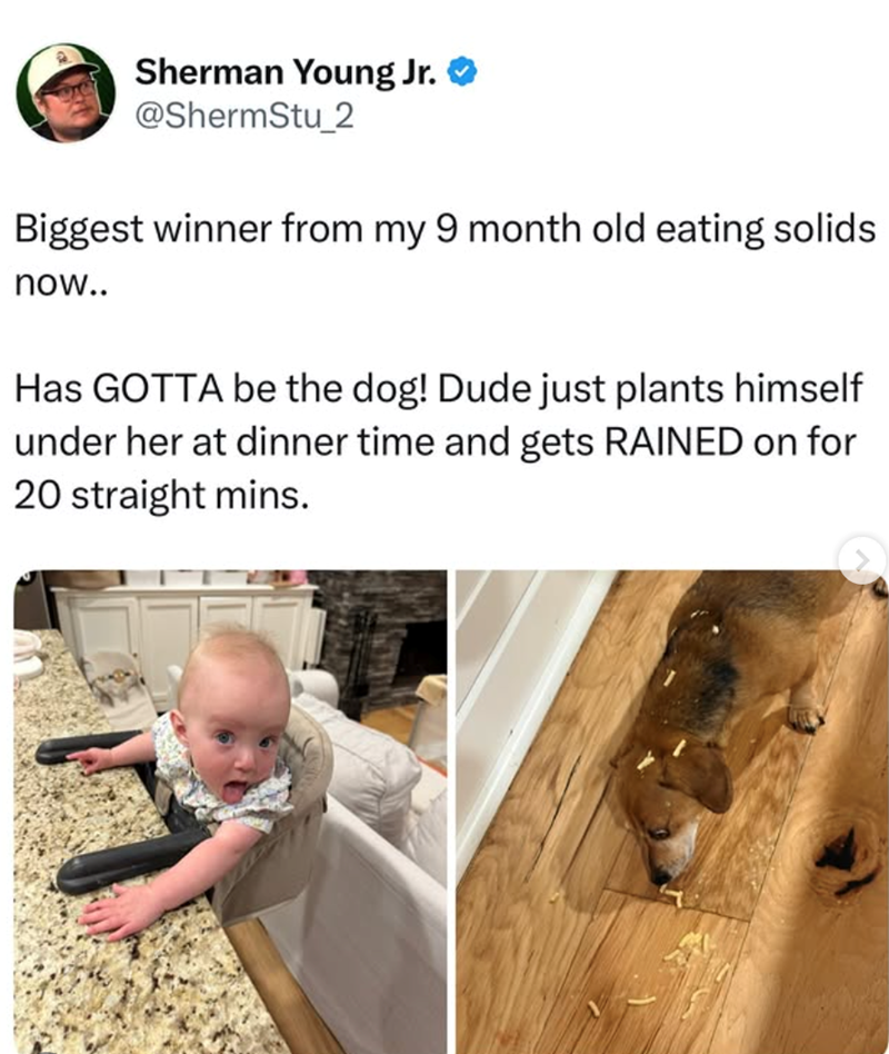 Sherman Young Jr. @ShermStu_2 Biggest winner from my 9 month old eating solids now.. Has GOTTA be the dog! Dude just plants himself under her at dinner time and gets RAINED on for 20 straight mins.