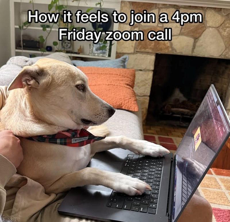 How it feels to join a 4pm Friday zoom call MWODY.PGe