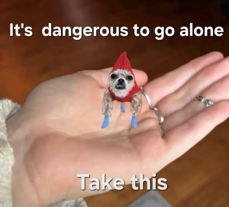 It's dangerous to go alone Take this