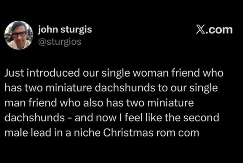 john sturgis @sturgios X.com Just introduced our single woman friend who has two miniature dachshunds to our single man friend who also has two miniature dachshunds and now I feel like the second male lead in a niche Christmas rom com