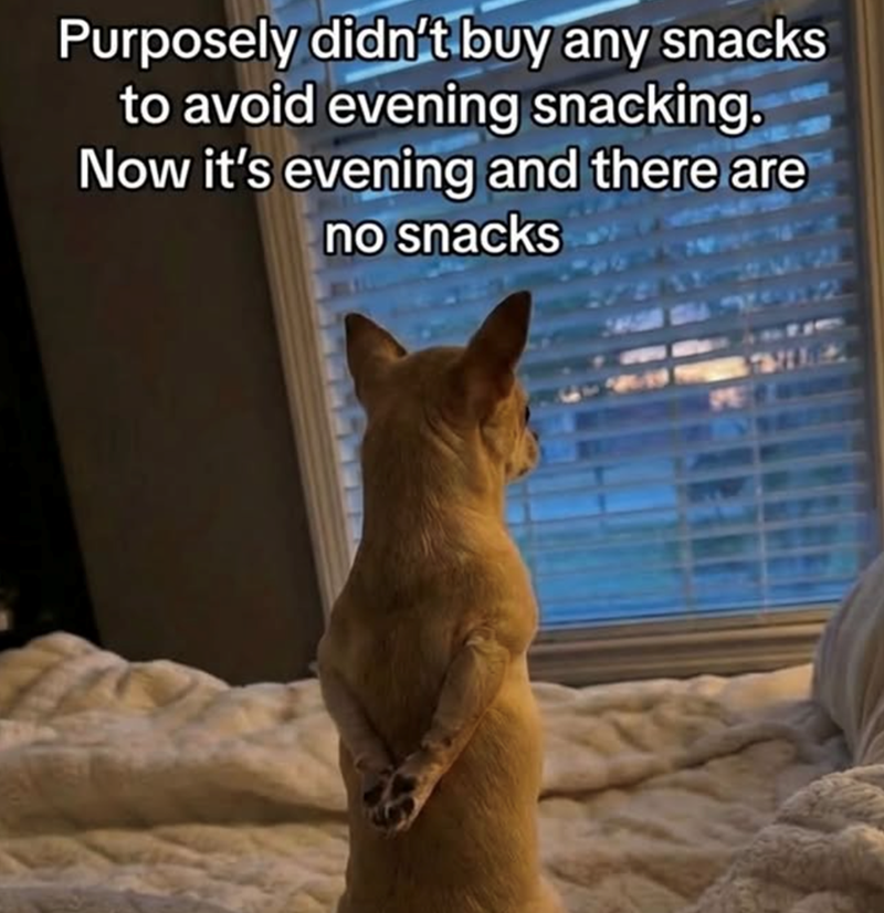 Purposely didn't buy any snacks to avoid evening snacking. Now it's evening and there are no snacks