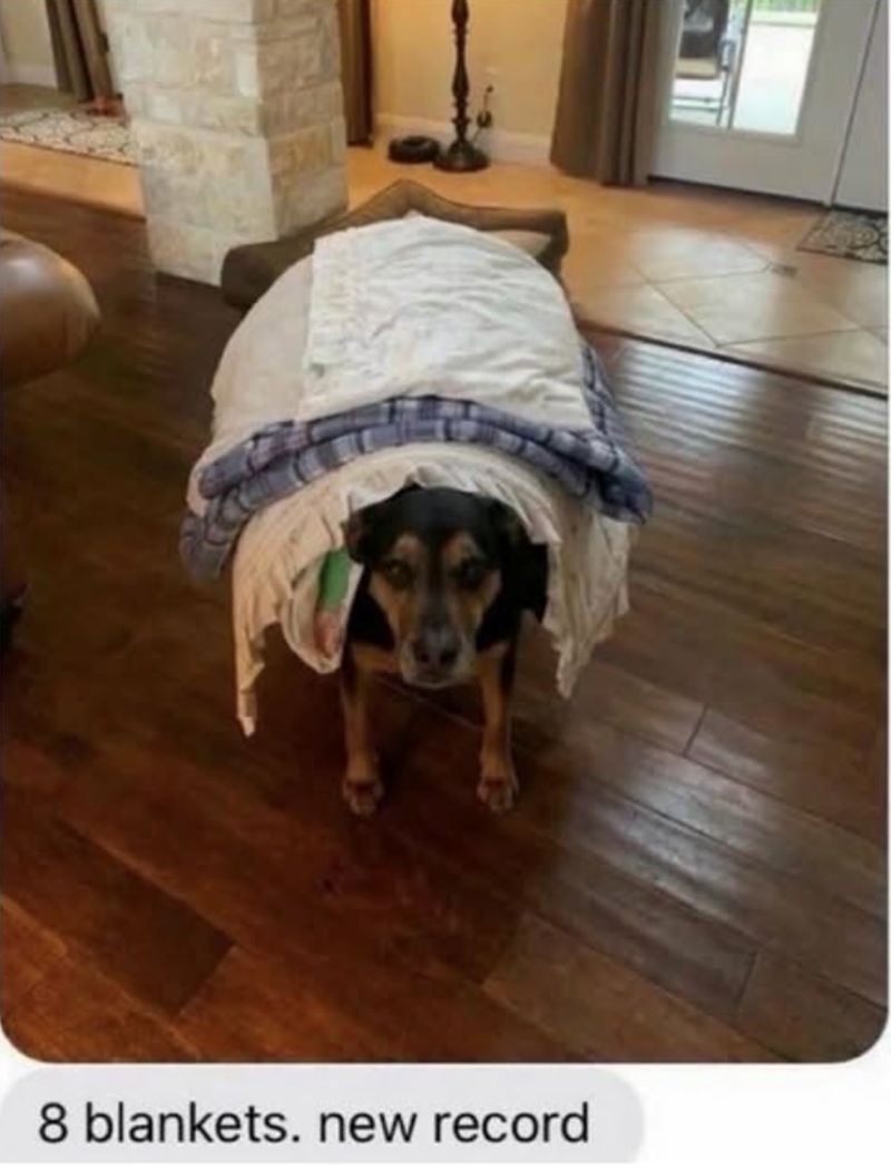 8 blankets. new record