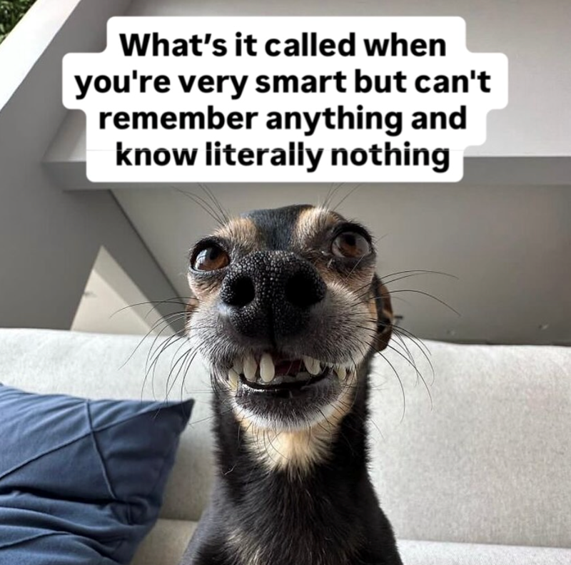 What's it called when you're very smart but can't remember anything and know literally nothing