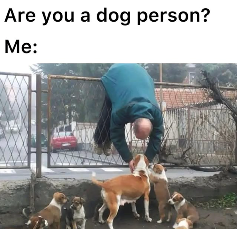 Are you a dog person? Me: