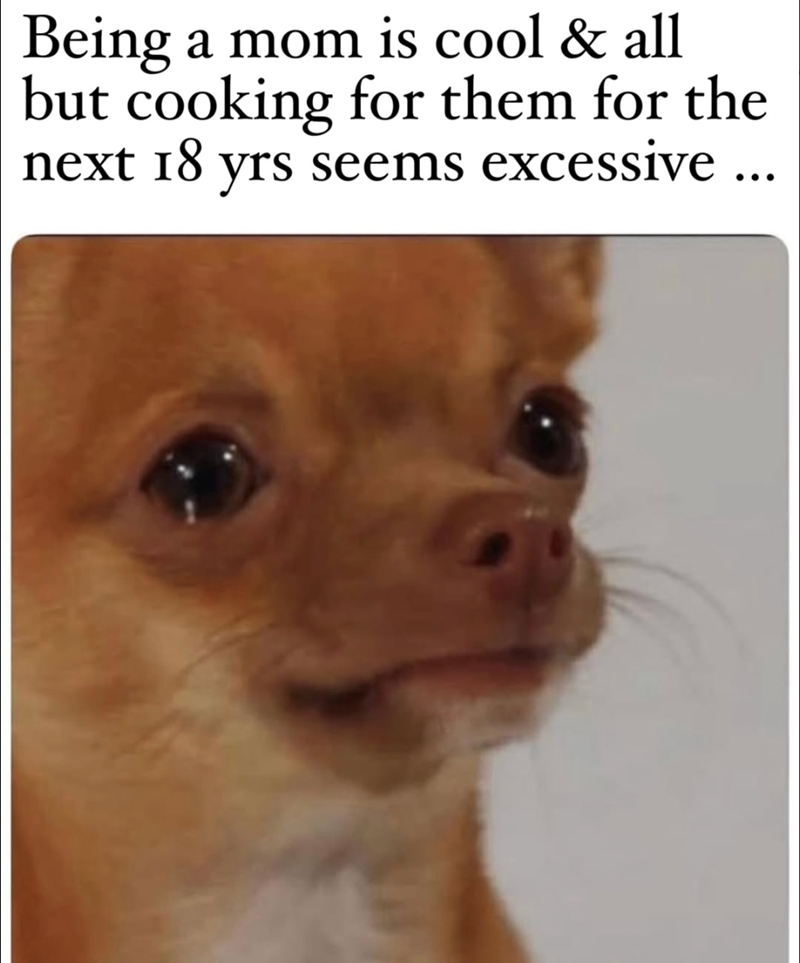 Being a mom is cool & all but cooking for them for the next 18 yrs seems excessive ...