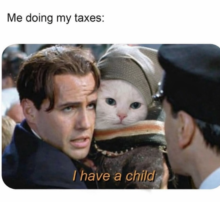 Me doing my taxes: I have a child