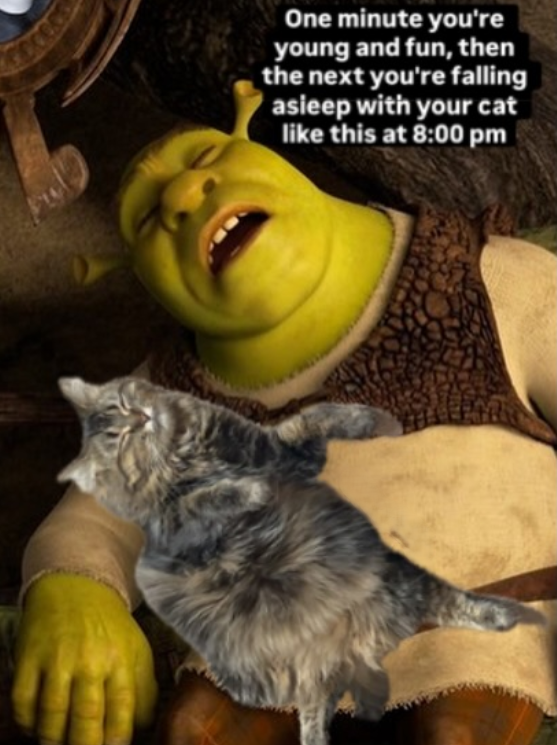 One minute you're young and fun, then the next you're falling asleep with your cat like this at 8:00 pm