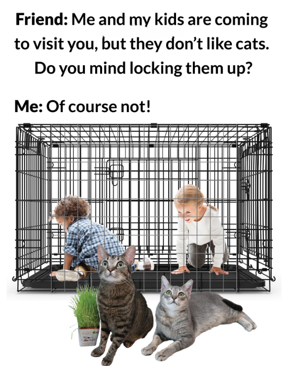 Friend: Me and my kids are coming to visit you, but they don't like cats. Do you mind locking them up? Me: Of course not! ИЖ